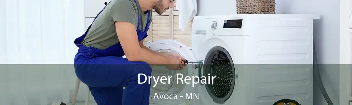 Dryer Repair Avoca - MN