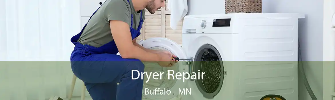 Dryer Repair Buffalo - MN