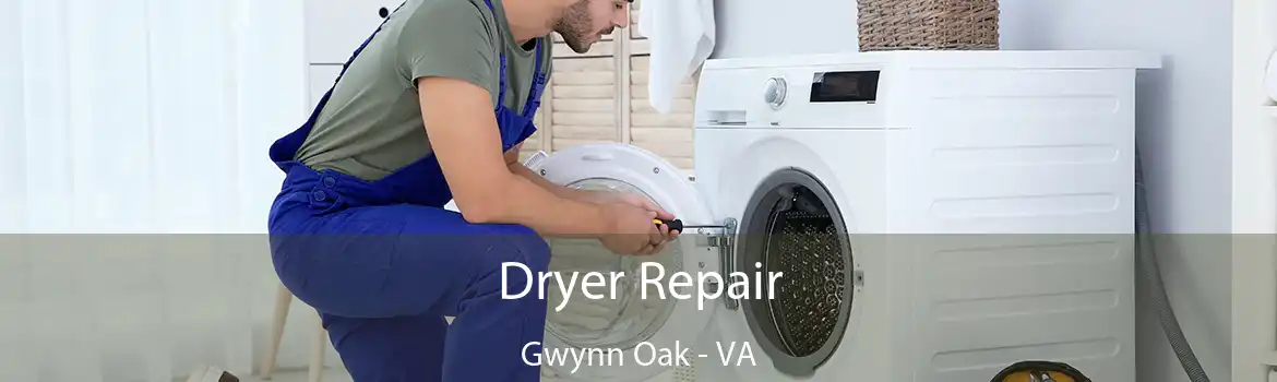 Dryer Repair Gwynn Oak - VA