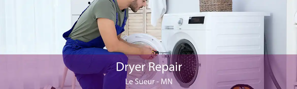 Dryer Repair Le Sueur - MN