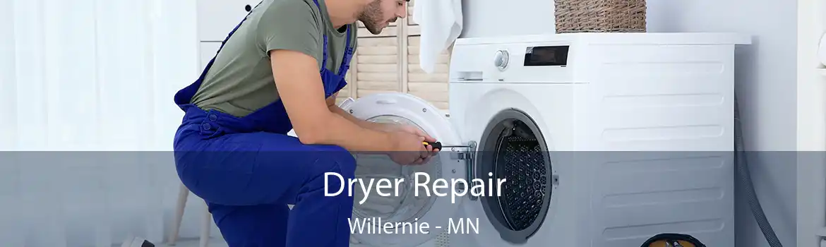 Dryer Repair Willernie - MN