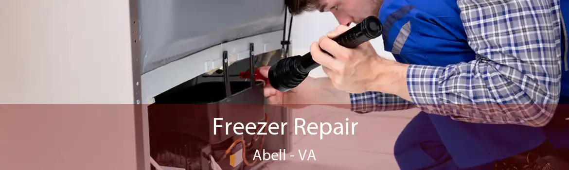 Freezer Repair Abell - VA