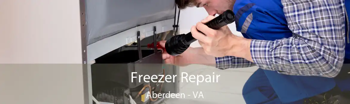 Freezer Repair Aberdeen - VA