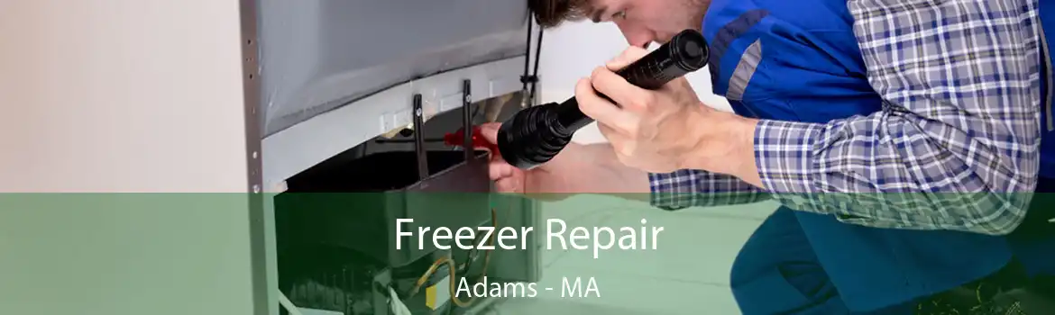 Freezer Repair Adams - MA