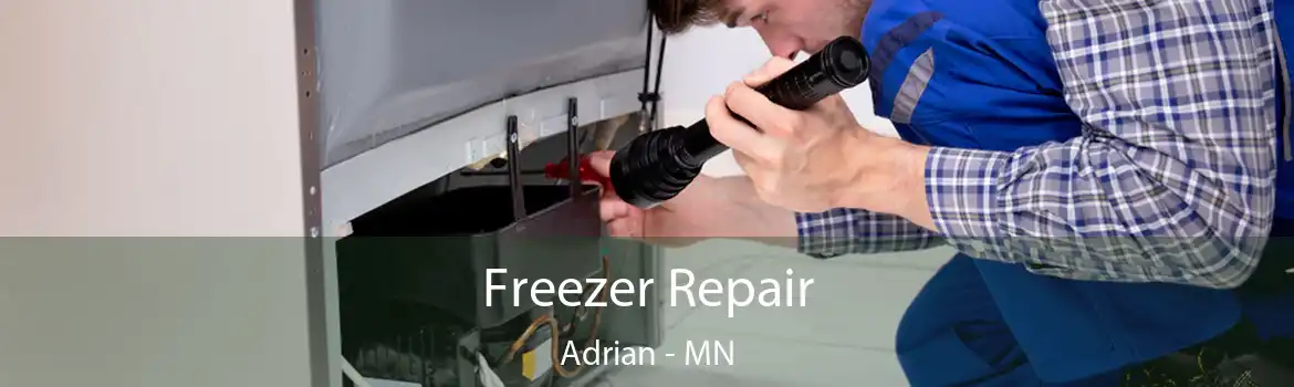 Freezer Repair Adrian - MN