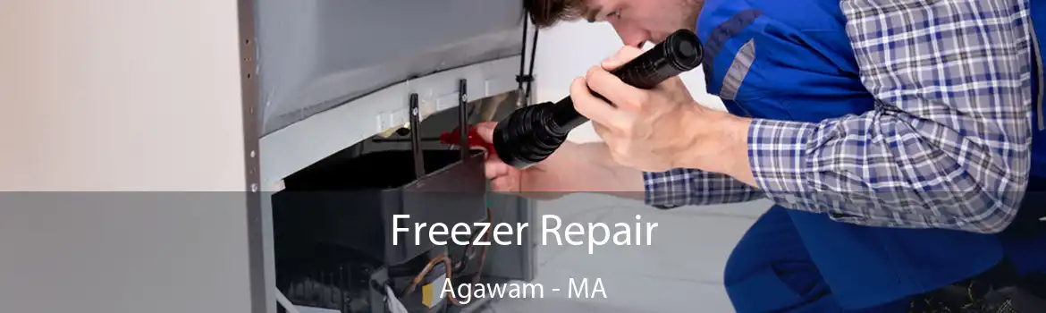 Freezer Repair Agawam - MA