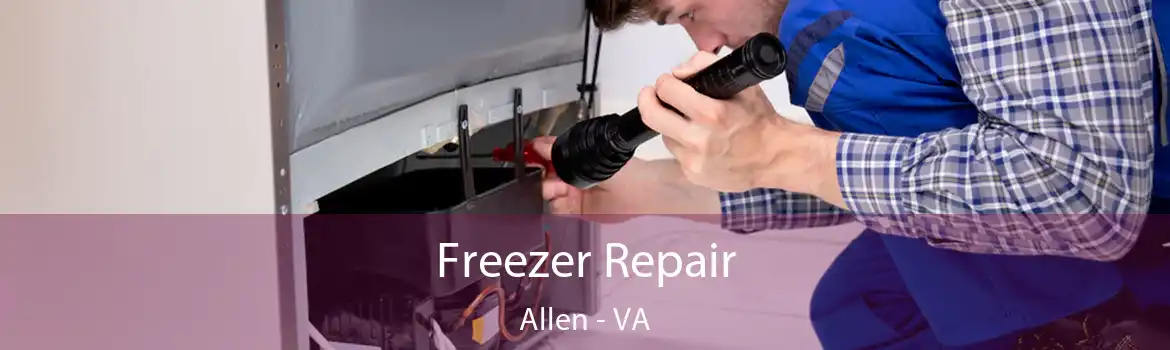 Freezer Repair Allen - VA