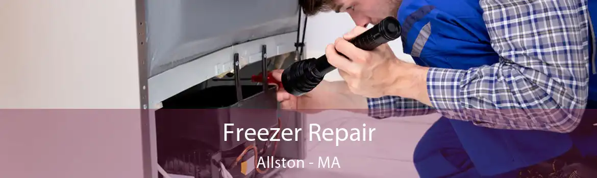 Freezer Repair Allston - MA