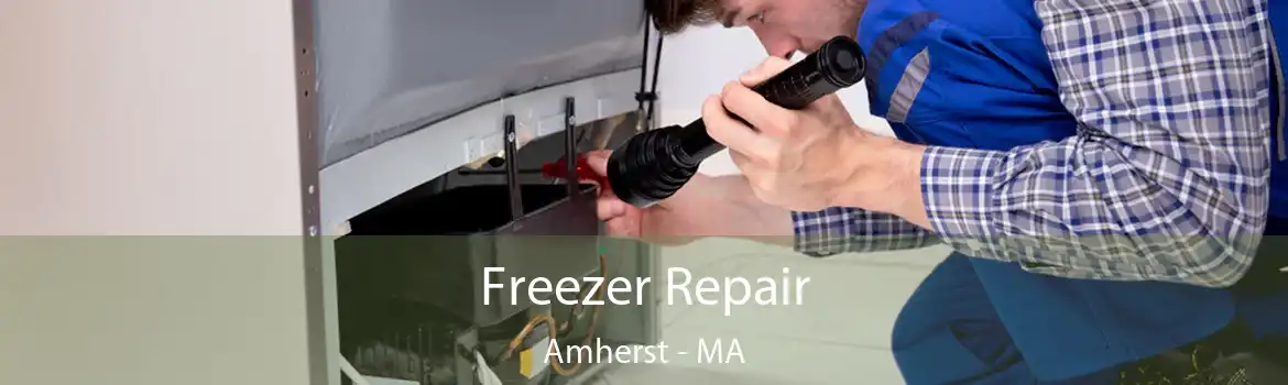 Freezer Repair Amherst - MA