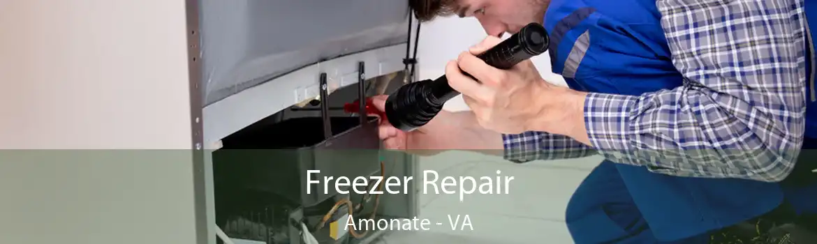 Freezer Repair Amonate - VA