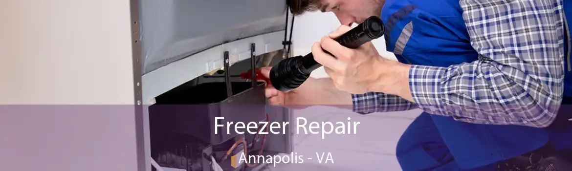 Freezer Repair Annapolis - VA