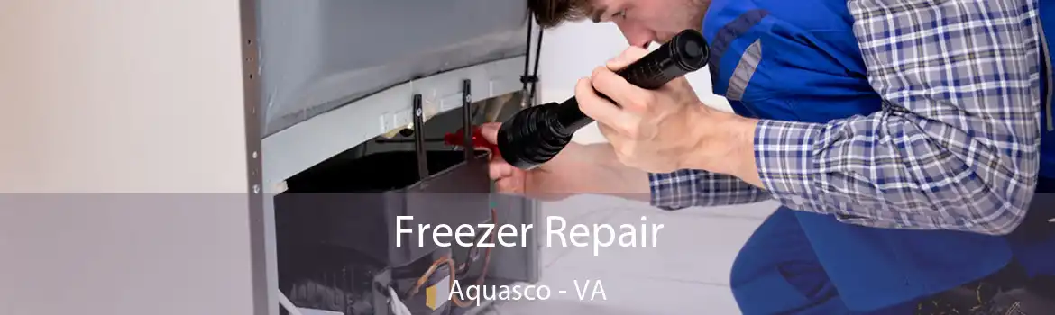 Freezer Repair Aquasco - VA