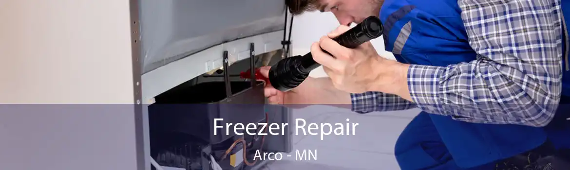 Freezer Repair Arco - MN