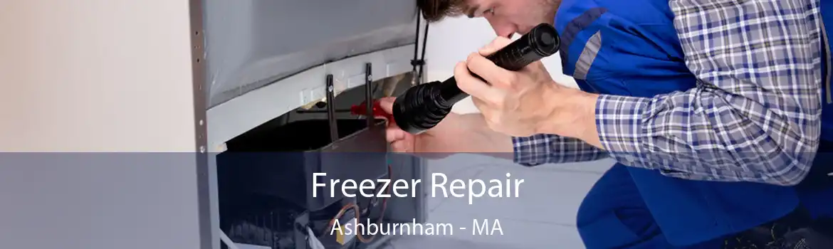 Freezer Repair Ashburnham - MA