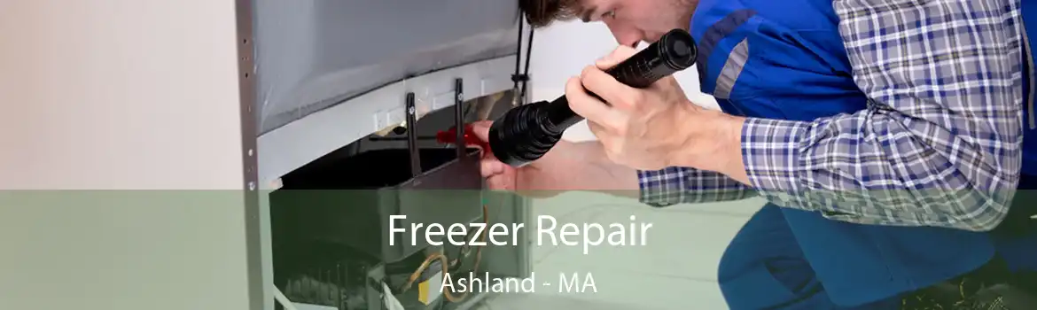 Freezer Repair Ashland - MA