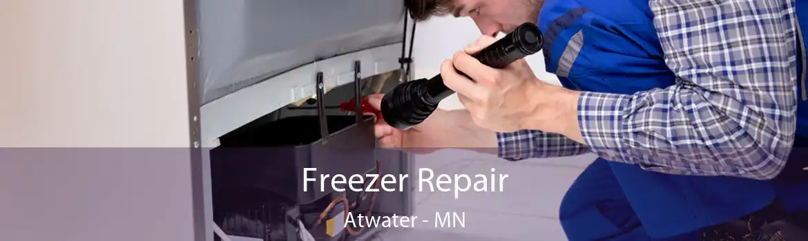 Freezer Repair Atwater - MN