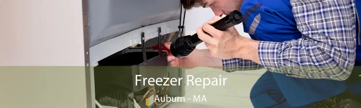 Freezer Repair Auburn - MA