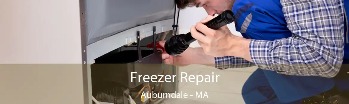 Freezer Repair Auburndale - MA