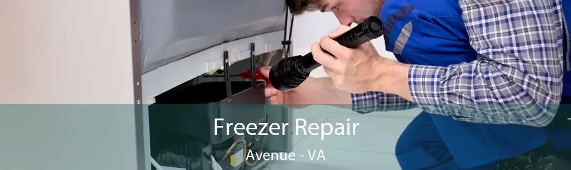 Freezer Repair Avenue - VA