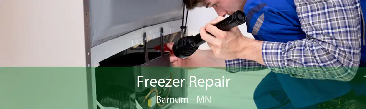 Freezer Repair Barnum - MN