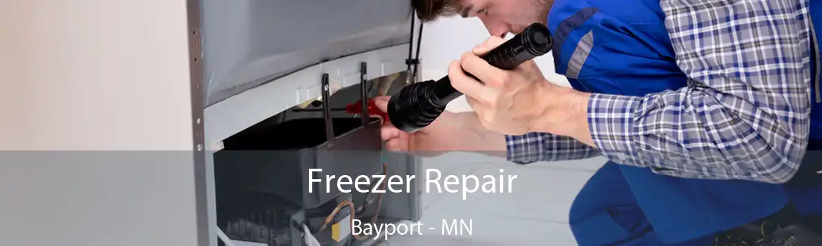 Freezer Repair Bayport - MN