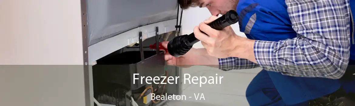 Freezer Repair Bealeton - VA