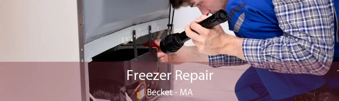 Freezer Repair Becket - MA