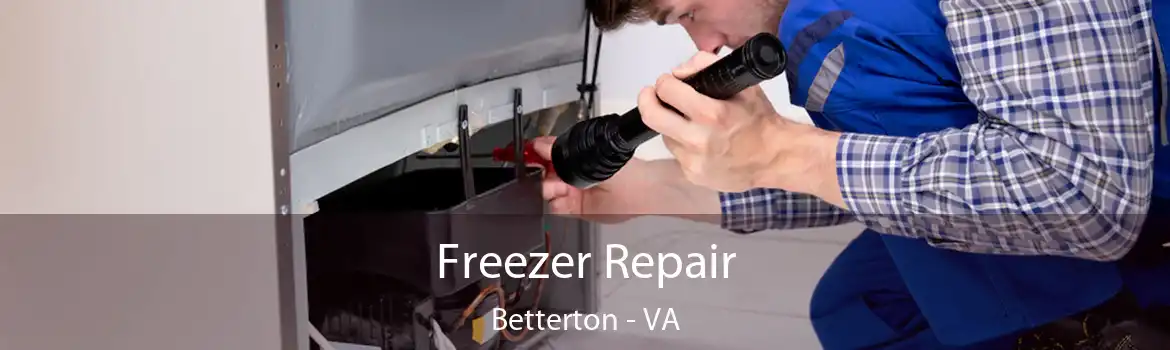 Freezer Repair Betterton - VA