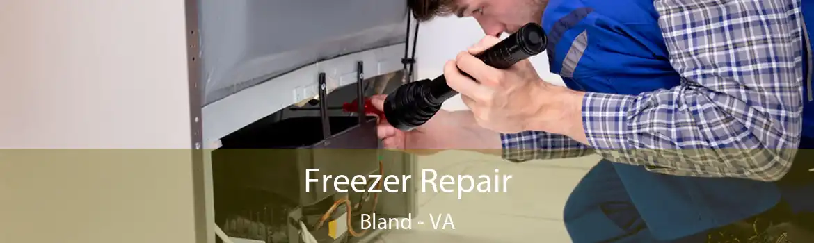 Freezer Repair Bland - VA