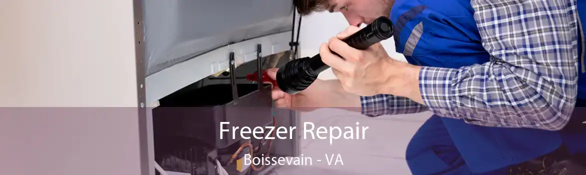 Freezer Repair Boissevain - VA