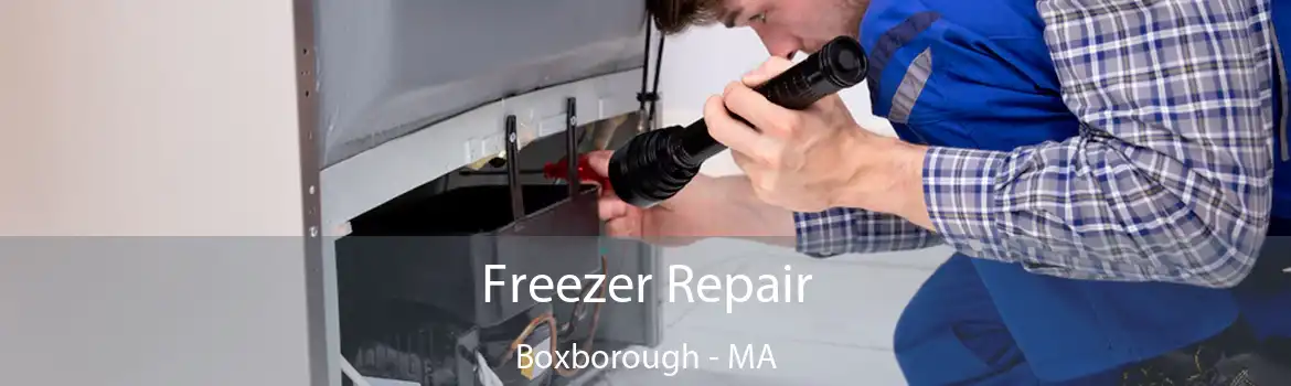 Freezer Repair Boxborough - MA