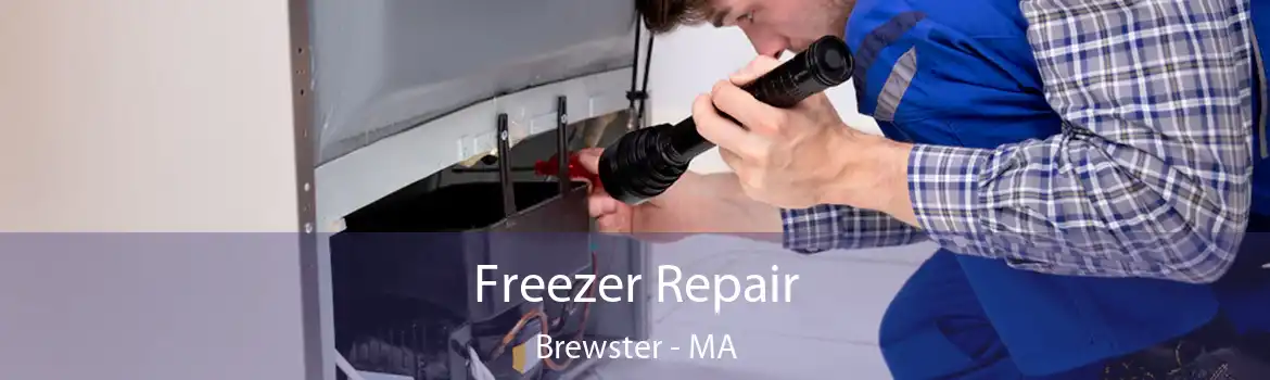 Freezer Repair Brewster - MA