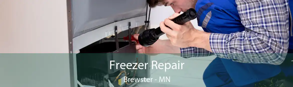 Freezer Repair Brewster - MN