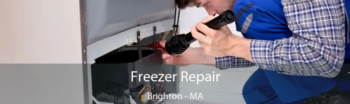 Freezer Repair Brighton - MA