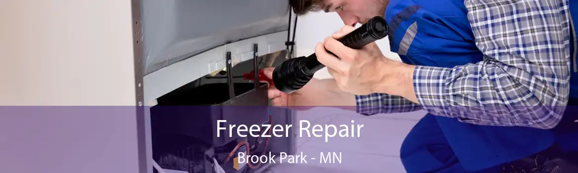 Freezer Repair Brook Park - MN