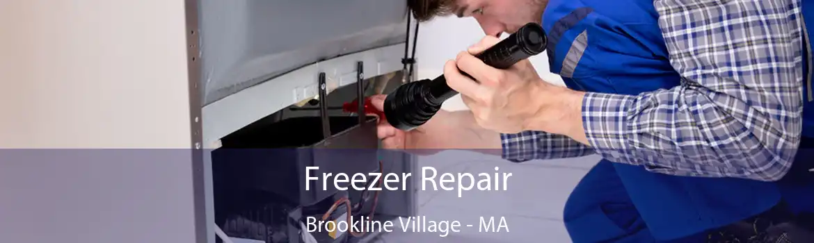 Freezer Repair Brookline Village - MA