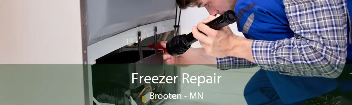 Freezer Repair Brooten - MN