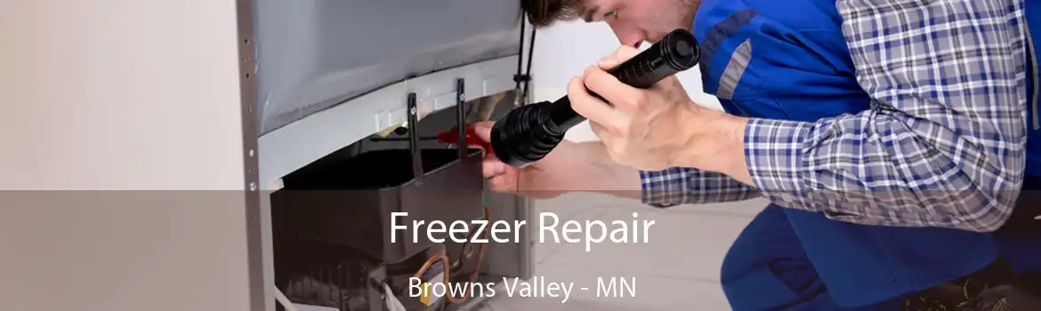 Freezer Repair Browns Valley - MN