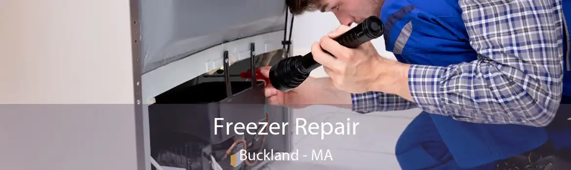 Freezer Repair Buckland - MA