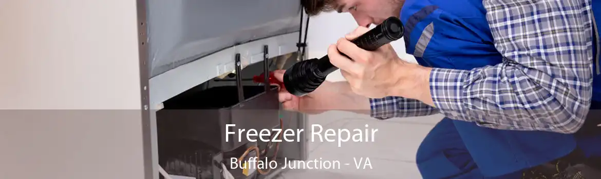 Freezer Repair Buffalo Junction - VA