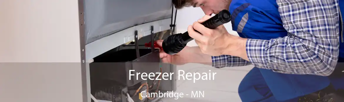 Freezer Repair Cambridge - MN