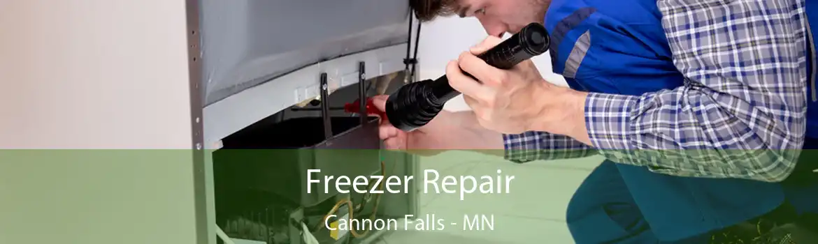 Freezer Repair Cannon Falls - MN