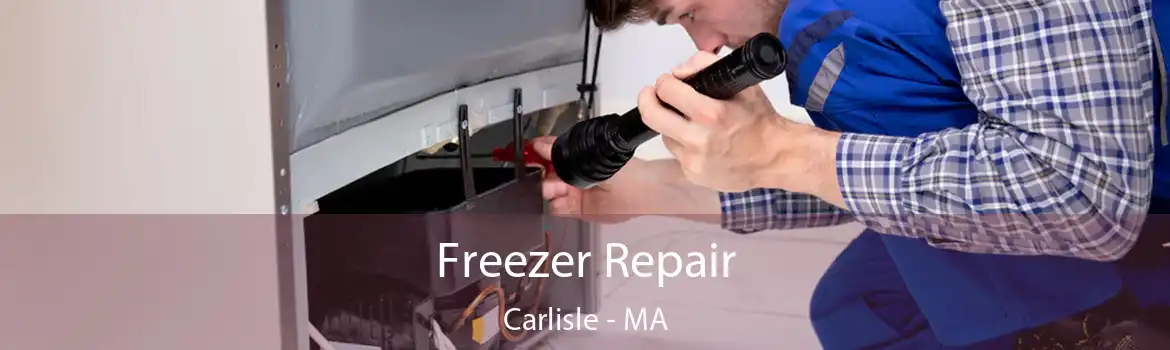 Freezer Repair Carlisle - MA