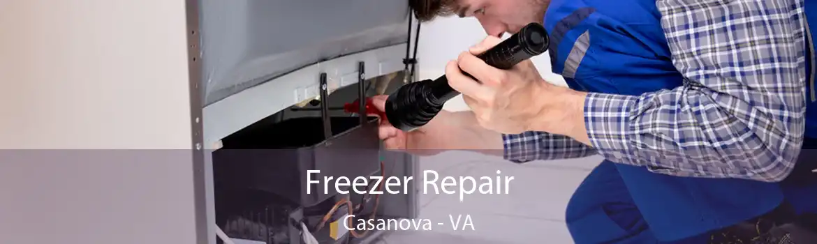 Freezer Repair Casanova - VA