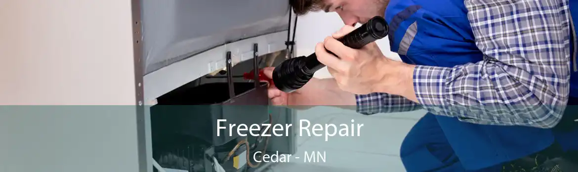 Freezer Repair Cedar - MN