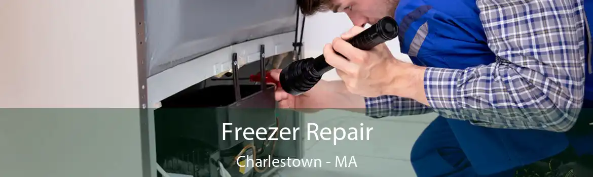 Freezer Repair Charlestown - MA