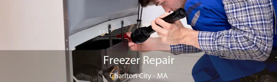 Freezer Repair Charlton City - MA