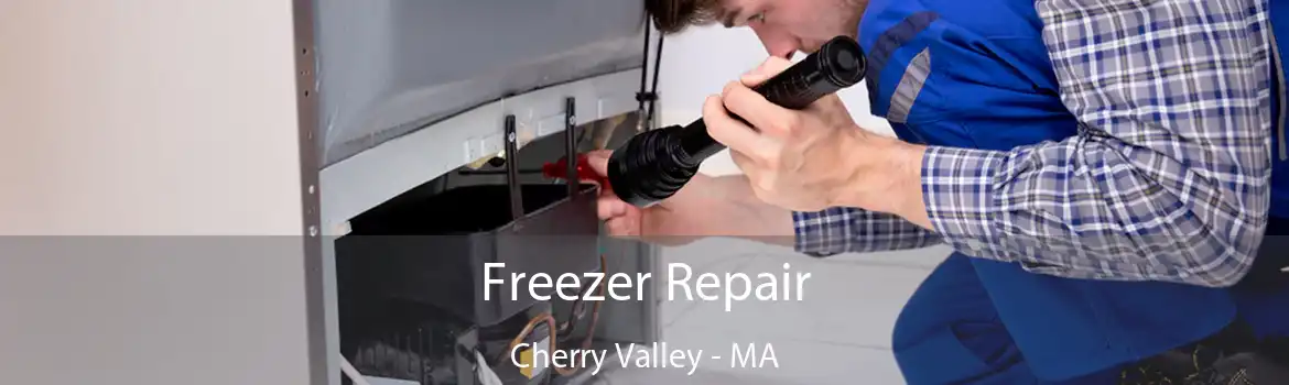 Freezer Repair Cherry Valley - MA