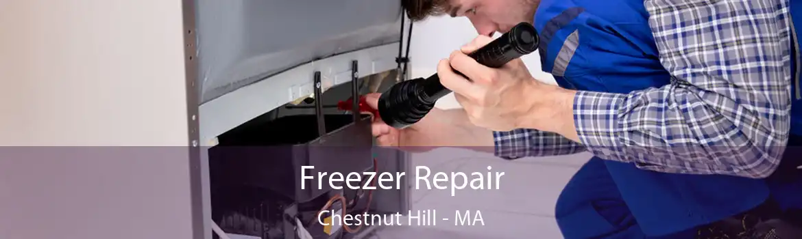 Freezer Repair Chestnut Hill - MA