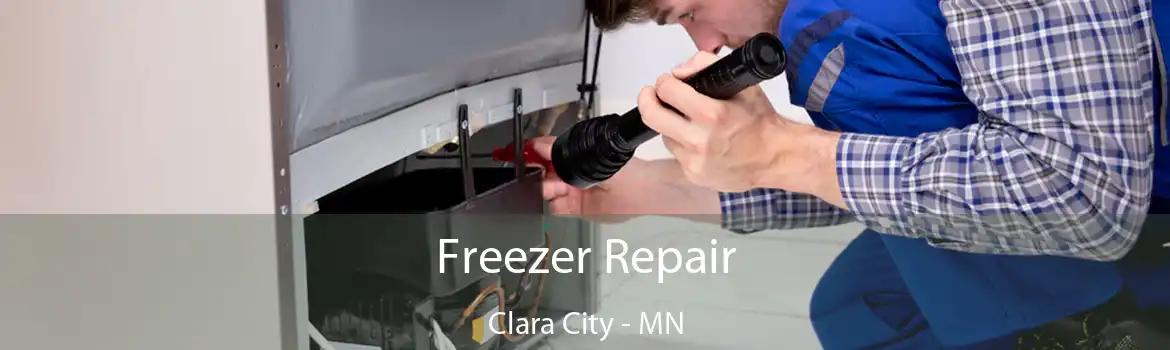 Freezer Repair Clara City - MN